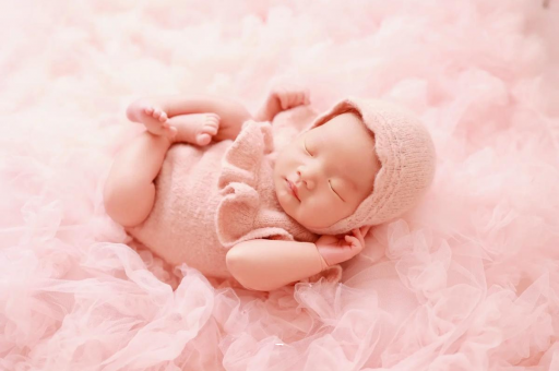 随县8个月宝宝辅食